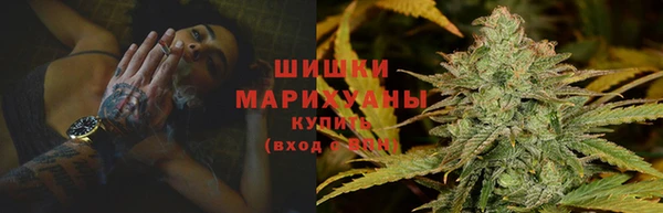 индика Майский