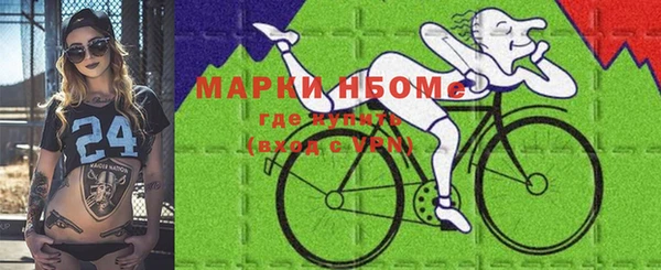 индика Майский