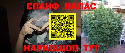 гашик Ставрополь