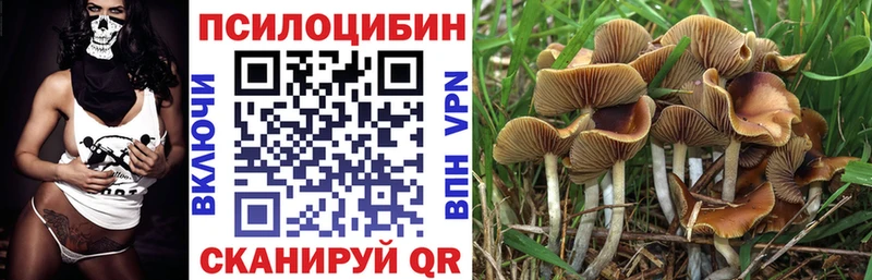 Галлюциногенные грибы Magic Shrooms Тутаев