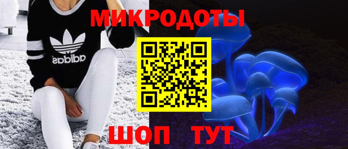 Псилоцибиновые грибы Psilocybe Тутаев